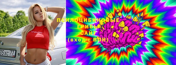 не бодяженный Корсаков
