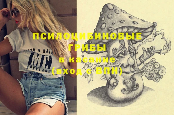 гашиш Коряжма