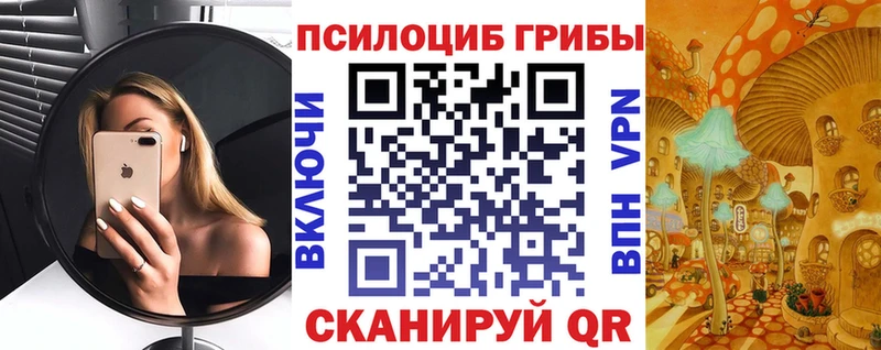 Купить Дигора Галлюциногенные грибы ЛСД